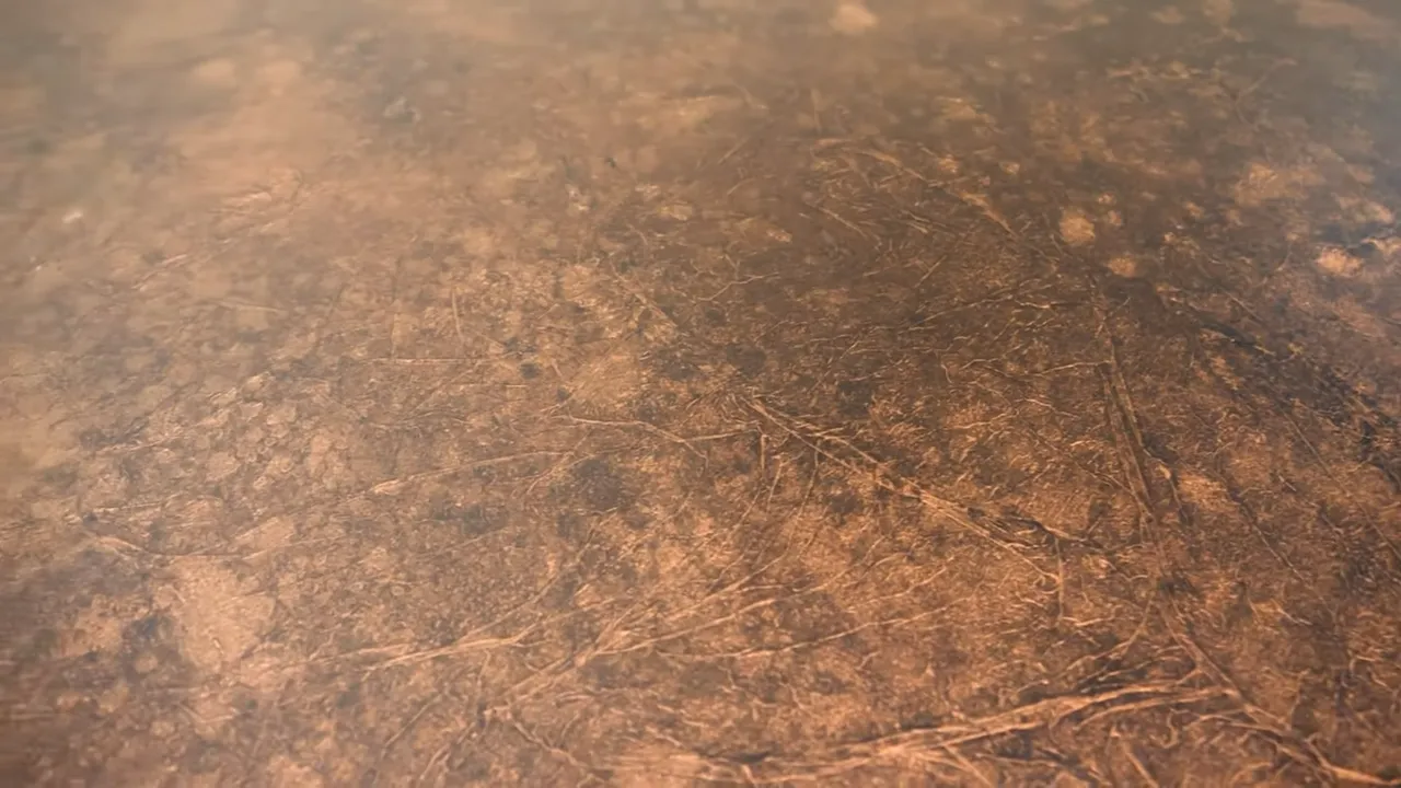 How I Easily Created This Aged Copper Finish